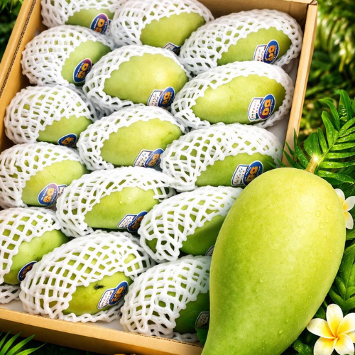 GREEN MANGO THAI (L) 14PCS